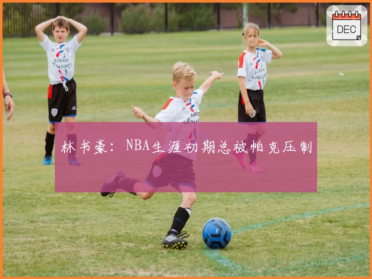 林书豪：NBA生涯初期总被帕克压制
